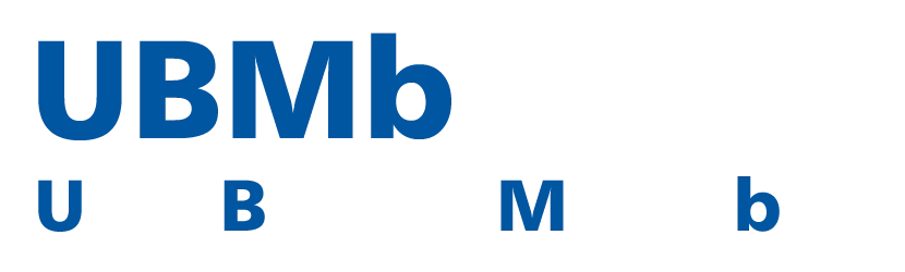 Uwe Brandt Metallbau Logo Power-Up Webdesign